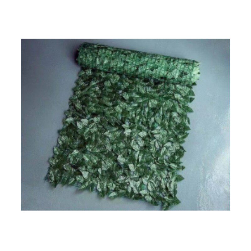 fyllosia fraxtis pseftika filla fyllosia fraxtis pseftika filla